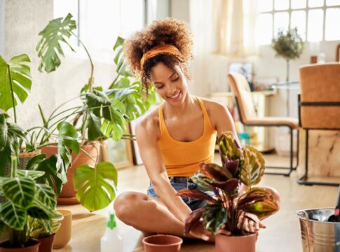 plantas-que-podem-bloquear-sua-vida-amorosa,-segundo-o-feng-shui