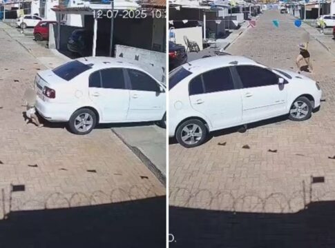 go:-menino-de-2-anos-e-atropelado-por-vizinha-em-condominio.-video