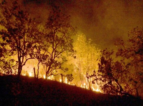 pf-ja-abriu-60-inqueritos-de-incendios-criminosos-em-2025
