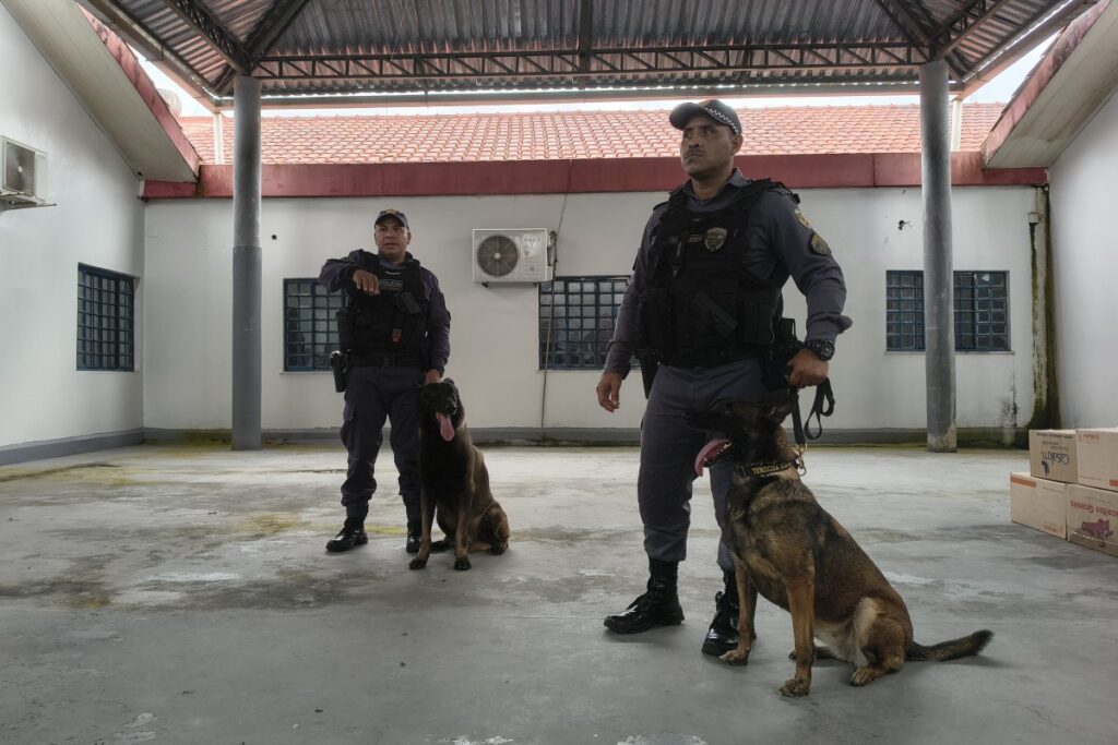 traficantes-escondem-drogas-em-pirarucu-para-driblar-caes-farejadores