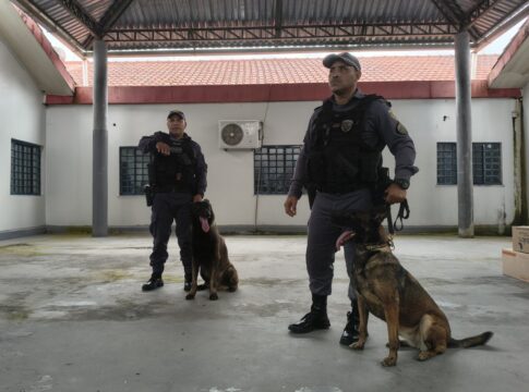 traficantes-escondem-drogas-em-pirarucu-para-driblar-caes-farejadores