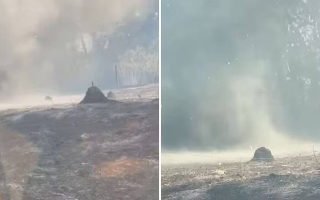 redemoinho-de-cinzas-impressiona-bombeiros-em-goias;-veja-video