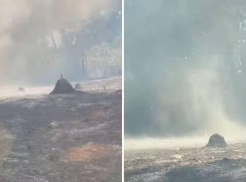 redemoinho-de-cinzas-impressiona-bombeiros-em-goias;-veja-video