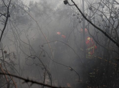 ue:-incendios-florestais-ja-queimaram-mais-de-1-milhao-de-hectares