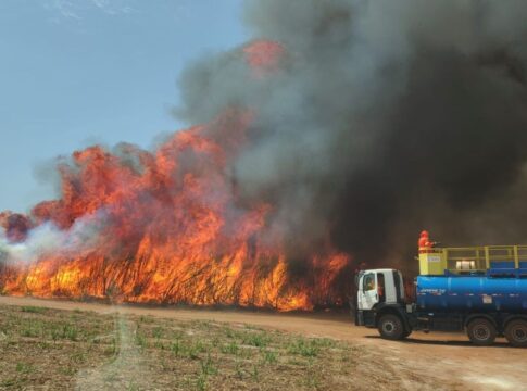 defesa-civil:-estado-de-sp-e-atingido-por-grandes-focos-de-incendio