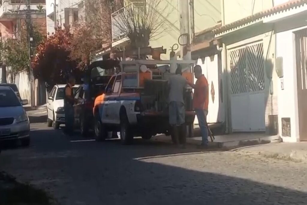 funcionarios-da-defesa-civil-sao-presos-por-sedar-e-abandonar-caes