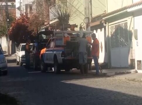 funcionarios-da-defesa-civil-sao-presos-por-sedar-e-abandonar-caes