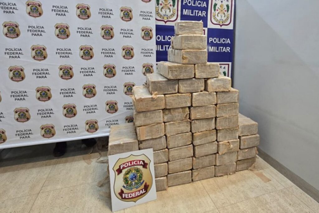 queda-de-aviao-misterioso-recheado-com-cocaina-mobiliza-a-pf