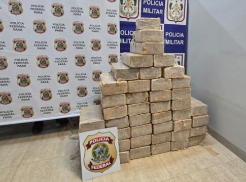 queda-de-aviao-misterioso-recheado-com-cocaina-mobiliza-a-pf