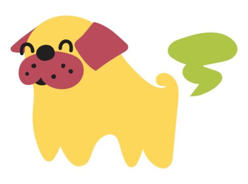 o-pum-do-seu-cachorro-fede-demais?-pode-ser-problema-de-saude;-entenda