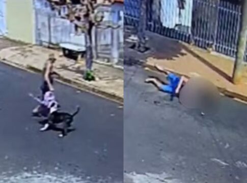 sp:-pit-bull-ataca-homem-de-78-anos-que-levava-bisneta-a-escola.-video