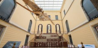 museu-nacional-realiza-no-domingo-setima-edicao-de-festival