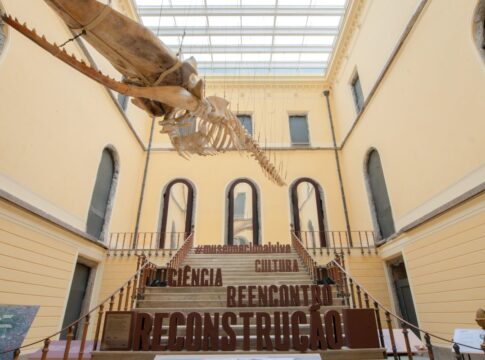 museu-nacional-realiza-no-domingo-setima-edicao-de-festival