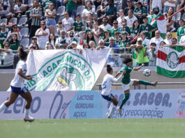 semifinais-da-serie-a1-do-brasileirao-serao-neste-domingo-(31/8)