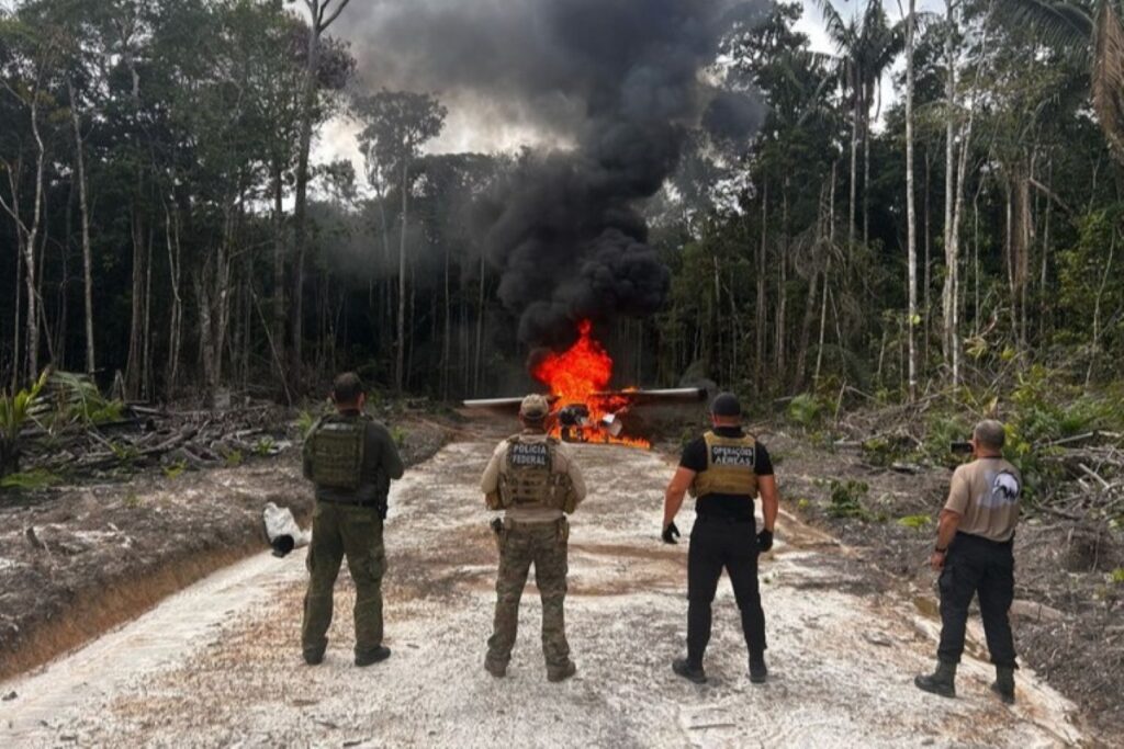 Amazonas tem cerca de 200 pistas de pouso usadas pelo crime organizado amazonas-tem-cerca-de-200-pistas-de-pouso-usadas-pelo-crime-organizado