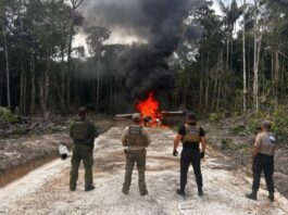 amazonas-tem-cerca-de-200-pistas-de-pouso-usadas-pelo-crime-organizado