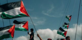 flotilha-que-ia-para-gaza-com-greta-e-brasiliense-retorna-a-barcelona