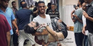 israel-comete-genocidio-em-gaza,-diz-associacao-de-estudiosos