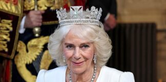 camilla-teria-sido-vitima-de-assedio-na-adolescencia,-diz-autor-real