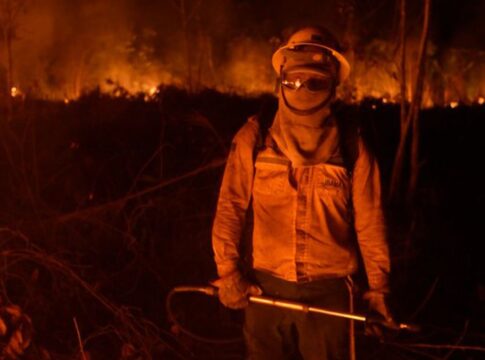 caminhos-da-reportagem-expoe-os-desafios-no-combate-as-queimadas