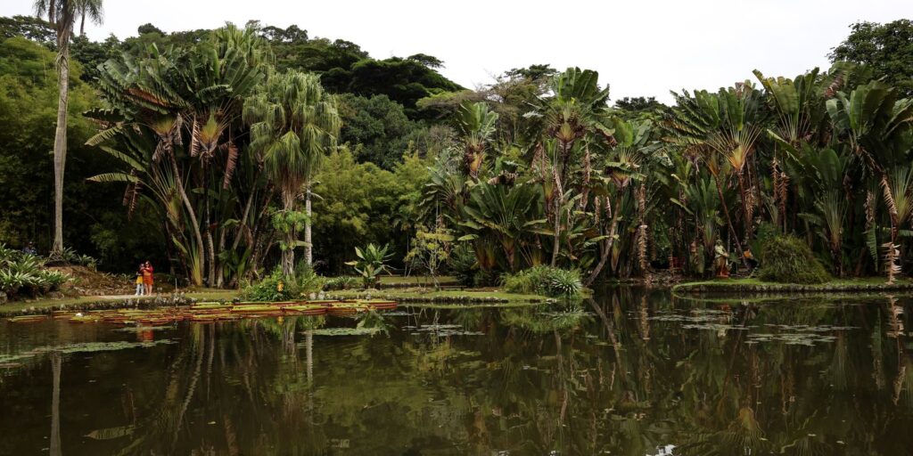 concurso-de-fotografia-integra-programacao-do-dia-mundial-da-limpeza