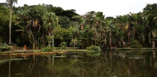 concurso-de-fotografia-integra-programacao-do-dia-mundial-da-limpeza