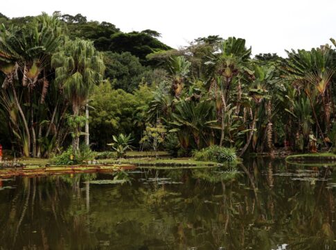 concurso-de-fotografia-integra-programacao-do-dia-mundial-da-limpeza
