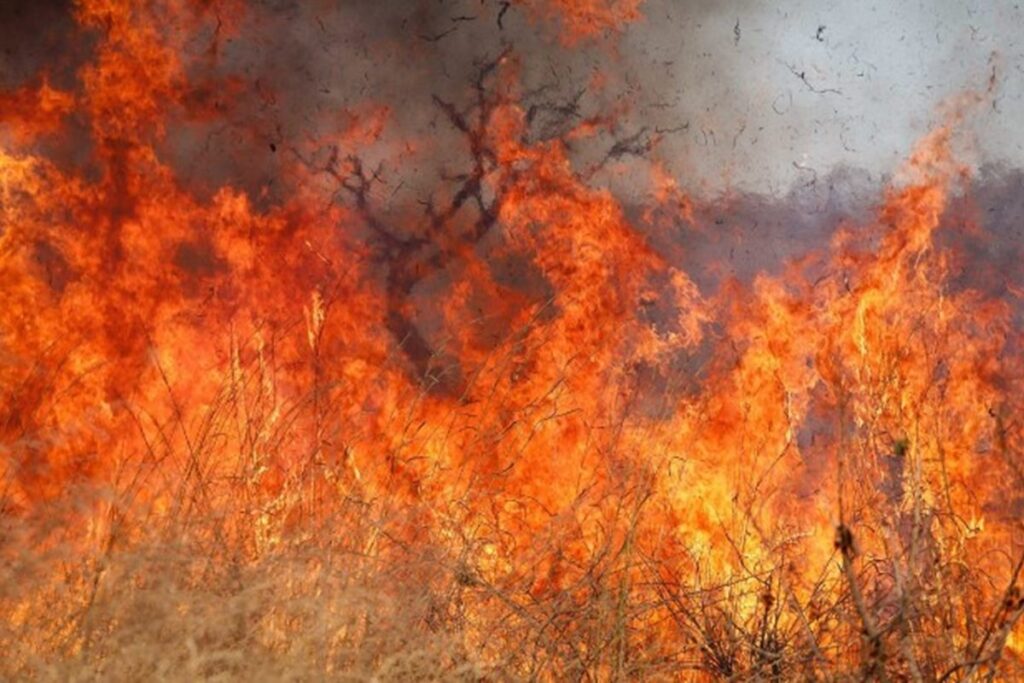 incendio-atinge-pirenopolis,-fecha-cachoeira-e-ameaca-interditar-outras