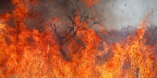incendio-atinge-pirenopolis,-fecha-cachoeira-e-ameaca-interditar-outras