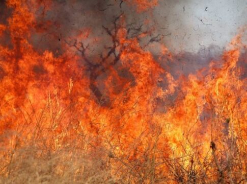 incendio-atinge-pirenopolis,-fecha-cachoeira-e-ameaca-interditar-outras
