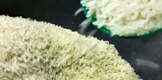 conab-anuncia-r$-300-milhoes-para-produtores-de-arroz-na-safra-2025/26