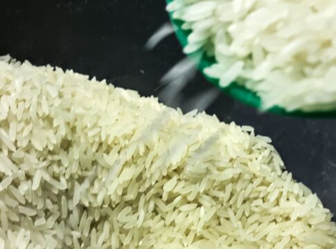 conab-anuncia-r$-300-milhoes-para-produtores-de-arroz-na-safra-2025/26