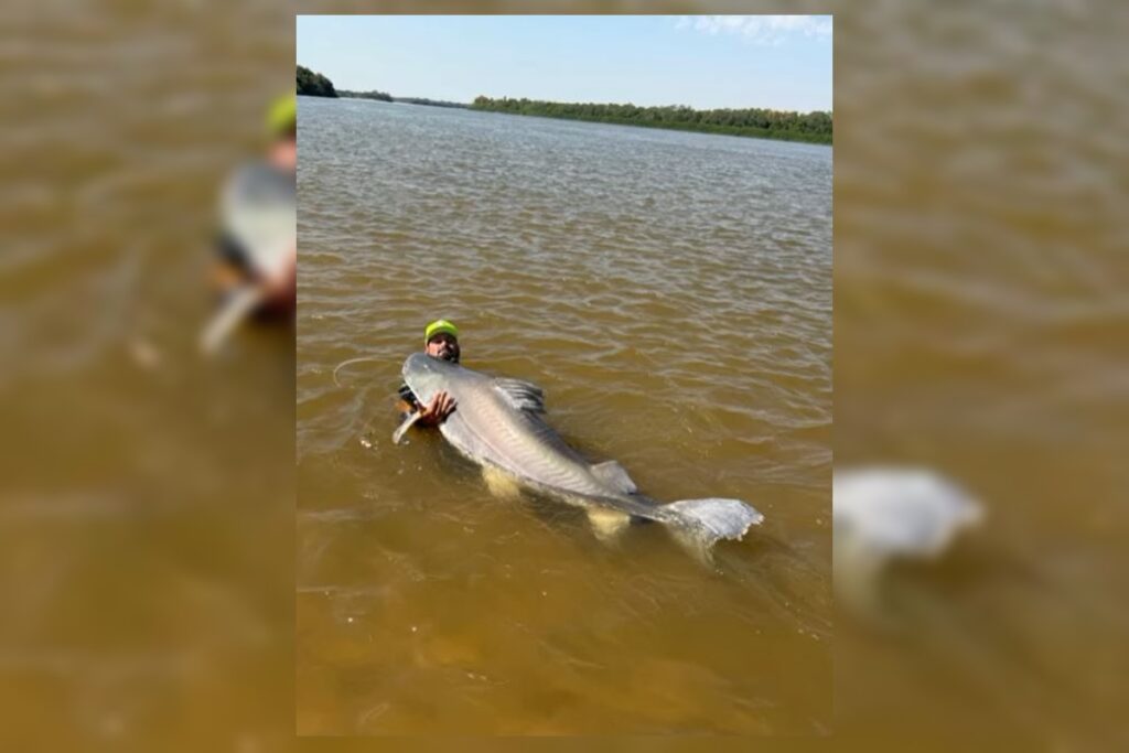 guia-de-goias-diz-ter-pescado-maior-peixe-do-vale-do-araguaia.-video
