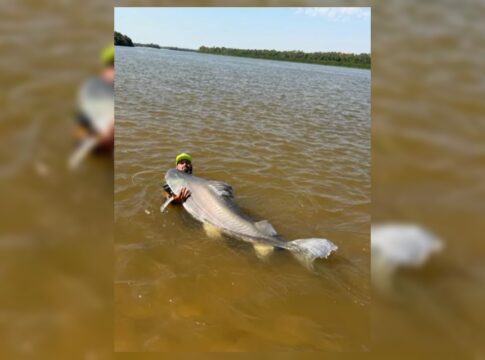 guia-de-goias-diz-ter-pescado-maior-peixe-do-vale-do-araguaia.-video