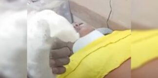 mpdft-investigara-denuncia-de-tortura-e-transfobia-em-delegacia-no-df