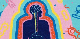 metade-dos-pacientes-com-intestino-irritavel-tem-ansiedade,-diz-estudo