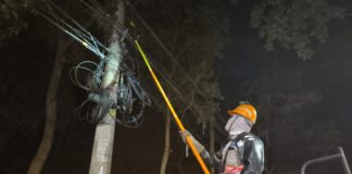 enel-remove-cabos-de-postes-nos-jardins,-em-sao-paulo