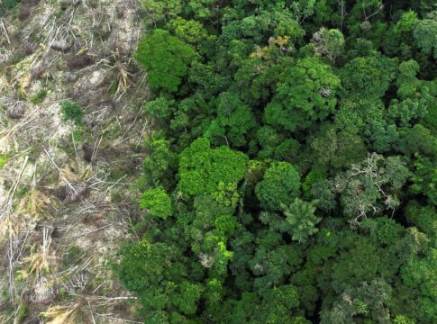 pesquisa-mede-impacto-de-mudancas-do-clima-e-desmatamento-na-amazonia