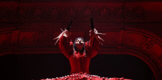 entenda-por-que-lady-gaga-cancelou-show-em-cima-da-hora
