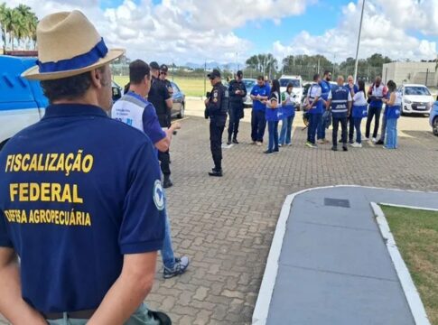 operacao-apreende-mais-de-2-toneladas-de-cafe-irregular-no-rj