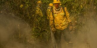 fotografo-da-agencia-brasil-e-destaque-em-premio-internacional