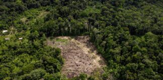 incendios-na-amazonia-comprometem-qualidade-do-ar-em-outros-paises