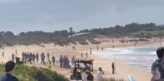 surfista-e-morto-apos-ataque-de-tubarao-em-praia-na-australia