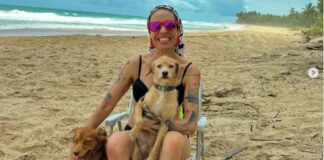 morta-em-acidente-na-br-040-era-protetora-de-animais-no-df