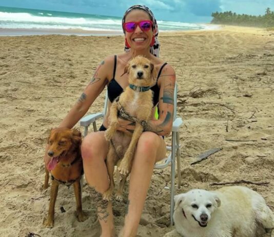morta-em-acidente-na-br-040-era-protetora-de-animais-no-df