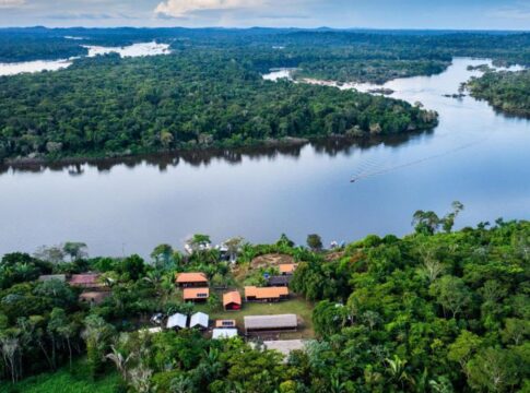 bndes-lanca-edital-voltado-para-recuperacao-da-floresta-amazonia