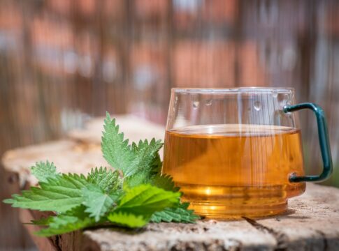 cha-anti-inflamatorio-aliva-dores-articulares-e-auxilia-saude-dos-rins