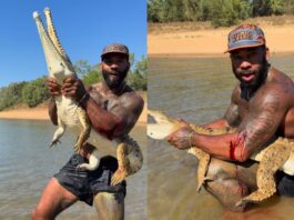 video:-influencer-e-criticado-e-denunciado-por-lutar-com-crocodilo