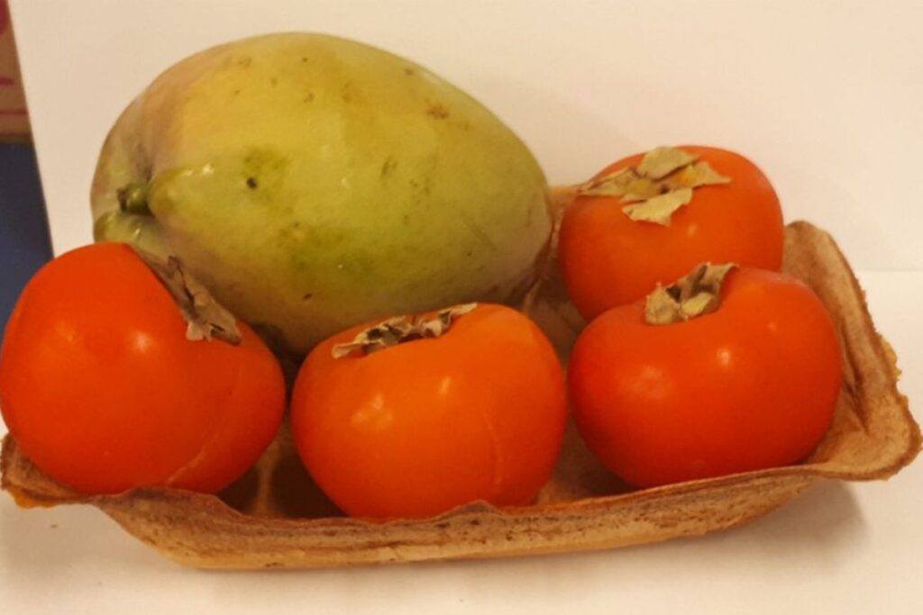 usp-desenvolve-bandejas-de-amido-e-curcuma-para-substituir-o-isopor