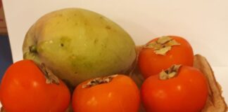 usp-desenvolve-bandejas-de-amido-e-curcuma-para-substituir-o-isopor